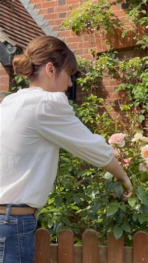 Summer Cottage Life | Cottage Garden Roses & Renovation Update