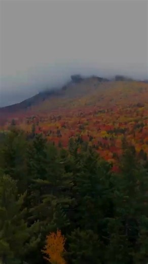4.5K views · 66 reactions | Fall doesn’t stay forever. This drone footage from a previous season reminds us why New England’s foliage is worth admiring year after year.  https://www.boston.com/culture/new-england-travel/2025/09/18/2025-fall-foliage-map-forecast-boston-new-england/ | Boston.com | Facebook