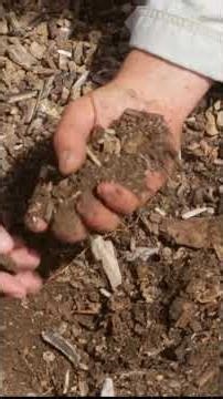 Water retention with compost and forest gardens #permaculture #foodforest #compost #water