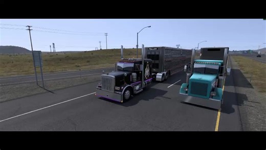 ats cattle haulage #fyp #ats #cat #peterbilt