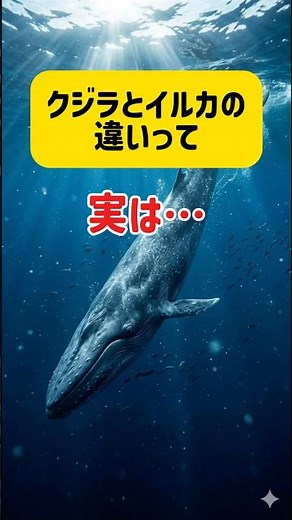 The difference between whales and dolphins is basically just size #AnimalFacts #Trivia #AnimalWon...