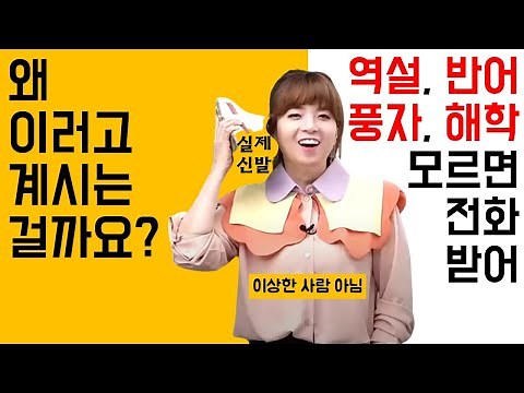 [중등인강/중학국어]운율, 반어, 역설, 풍자(문학의 표현)_정수영 깡쌤(엠베스트)