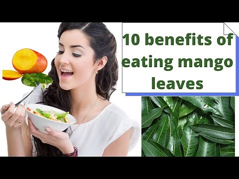 10 Benefits Of Eating Mango Leaves