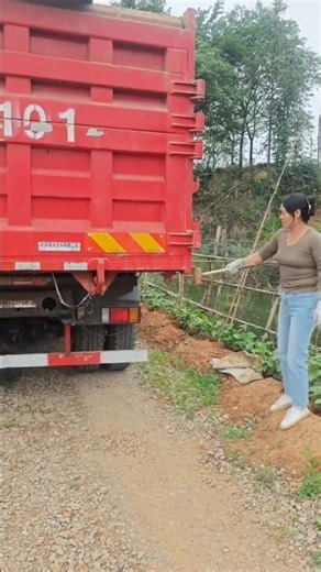 Nữ tài xế vận chuyển cát bằng chiếc xe ben khổng lồ #truckdriver #trucking #automobile #trucker