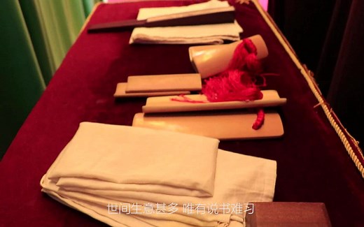 【传统文化】和曲艺演员对话 直接了解曲艺