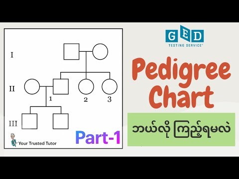 Pedigree Chart Explained for GED Science Part-1 | Basic Symbols | Hereditary & Genetics