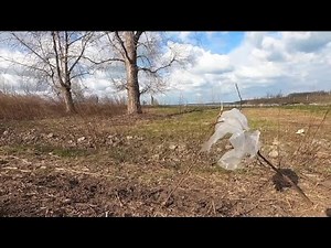 Safe ways to pick up trash for Earth Day