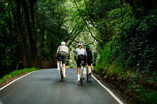 How Far Cyclists Really Ride at Every Age, According to Strava, Zwift, and Ride With GPS