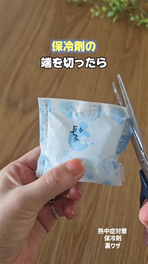 ↥フォローして他の暮らしハックも役立てて^^⸝⋆ @koara_lifehack 👈他の投稿はこちら𓆪 【保冷剤の裏ワザ】 毛量多くて頭に熱こもる人オススメ！ 余った保冷剤は髪の毛用にしてみて🐨⭐️ 持続性はないけど、ひんやりして熱中症対策に使えるよ☀️ ・結露出やすいビニール保冷剤は髪が濡れるので不織布を使用してます ・地肌に直接つけないように髪の毛の上に乗せてください ・キンキンしたり気になる場合はすぐに外してください ・保冷効果がなくなったらすぐ外してください お弁当の食中毒対策で保冷剤いれるとき アルミホイル巻いておくと保冷剤の効果を高めてくれるから 試してみてね #保冷剤裏ワザ#ライフハック #暮らしの裏ワザ#暮らしハック #保冷剤 :* ﾟ ゜ﾟ * :｡.｡: * ﾟ ゜ﾟ * :｡.｡.｡: * ﾟ ゜ﾟ * @koara_lifehack アラフォー2児ママが 暮らしに役立つアイテム&アイディア発信しています˙꒳​˙⚑⁎ ⏩ズボラでもできそう ⏩こんなライフハック試してみたい ⏩便利アイテム使ってみたい いいね、コメント、DM嬉しいです( *ˊˋ)ﾉᵀᴴᴬᴺᴷ 