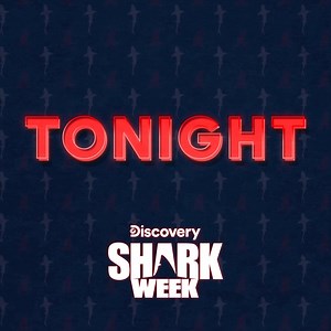 105K views · 3.9K reactions | ♪┏(°.°)┛JAW READY FOR THIS! ┏(°.°)┛♪ #SharkWeek starts tonight at 8p on Discovery! Who’s diving in? Drop a reply if we’ll sea you there! | Shark Week | Facebook