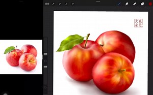 Procreate写实教程详细讲解，新手进