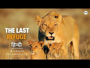 Last Refuge - हिन्दी डॉक्यूमेंट्री | Wildlife documentary in Hindi