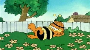 Watch Garfield and Friends Season 1 Episode 5 - Garfield And Friends Show #5
