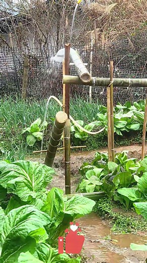Bird Repellent 🪄 Harmless Deterrence 🛡️, Fruit & Veggie Protection ✅ for Farmers & Gardeners 👍