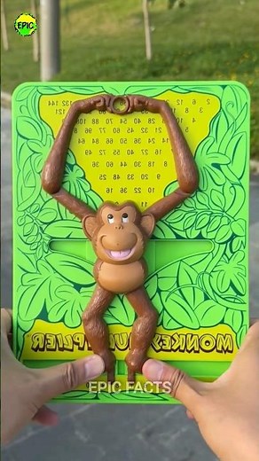 This Monkey Can Do Maths 😮 | Mind-Blowing Animal Intelligence #shorts