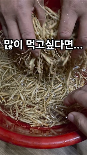 Have you ever planted ginseng seedlings? Is it ginseng or mountain ginseng? How to get a better h...