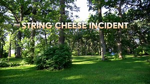 7.7K views · 321 reactions | Just Announced - we're headed to Revival Music Festival at Harmony Park in Clarks Grove, MN! Catch 3 nights and 6 sets of SCI over Memorial Day weekend, plus The Infamous Stringdusters, Leftover Salmon, The Motet and more! Tickets go on sale 1 week from today on Monday, November 8th at 12 Noon CT: revivalfestmn.com RSVP: facebook.com/events/1041336462874396 | The String Cheese Incident | Facebook