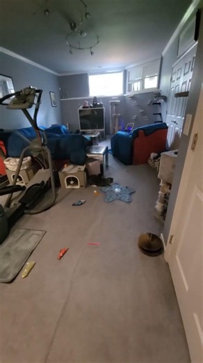 Best Rechargeable Cat Toy Under 30 Dollars