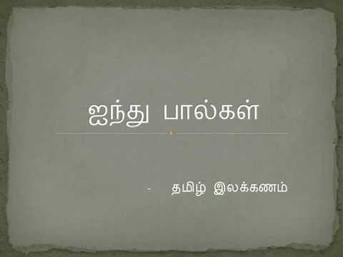 ஐந்து பால்கள் (ஐம்பால்) - தமிழ் இலக்கணம் | Aimpaal - Tamil ilakkanam | five types of paal - tamil