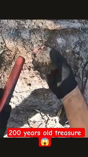 200-Year-Old Navy Eagle Button Found | Rare War of 1812 Treasure Discovery