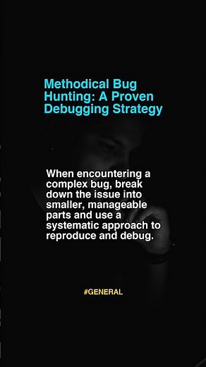 Methodical Bug Hunting A Prove
