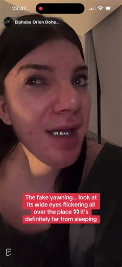 Holiday Destinations and CBD Gummies Discussion