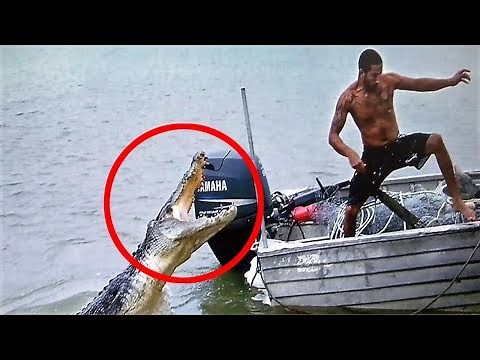 DEADLIEST Creatures Found in Australia