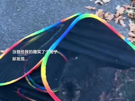 关住了 好像又没完全关住...