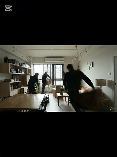 How Do I Hire A Moving Company To Help Move My Cat?