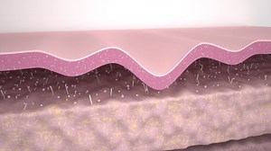 3D Animación Capa de la piel Arruga suavizar. Acción del cuidado de la piel Efecto de reparación del colágeno Efecto del tratamiento antienvejecimiento