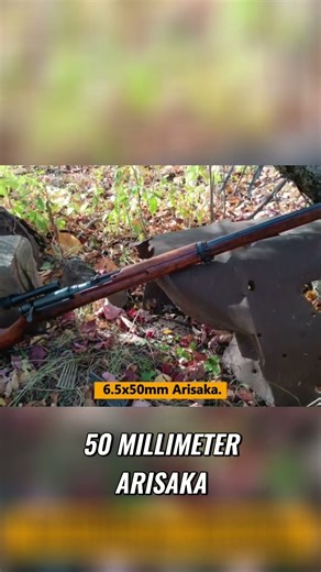 Arisaka Type 97 Japan's WW2 Sniper Rifle Explained