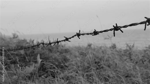 Barbed wire by the beach. Black and white. Prince Edward Island, Canada. HD.