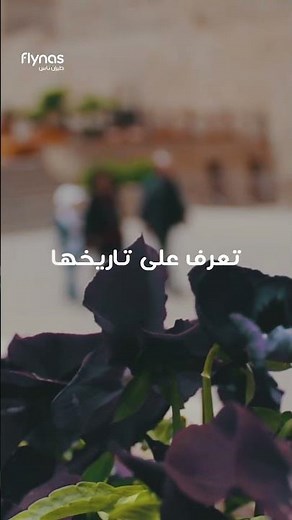 مرحبا بكم على متن الصفحة الرسمية لطيران ناسWelcome aboard to flynas page