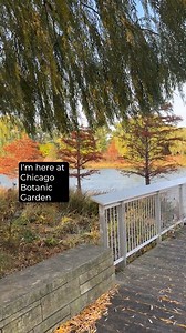 3.9K views · 49 reactions | Now is the perfect time to start planning winter containers. Join us for Winter Container Design Tips on Nov. 14, available both in-person and online, and discover the best plant selection for winter containers. Chester Jankowski, senior horticulturist at the Garden, shares a few quick tips to help get you started. Register today: https://chgobg.org/3NJOXJA | Chicago Botanic Garden | Facebook