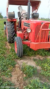 186K views · 1K reactions | Groundnut 樂 digger mashine #virle #short #farming #agriculturalequipment #farmmachinery #farmequipment | Krishi darshan news | Facebook