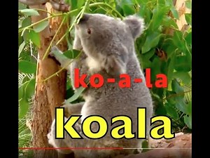 FUN SYLLABLE LESSON / HOW TO DIVIDE WORDS INTO SYLLABLES / EDUCATIONAL KID VIDEO / 2nd & 3rd