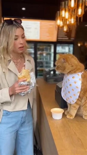 7.3K views · 205 reactions | 數 L’AFFAIRE DE LA “VIANDE PAS...