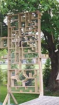 Squirrel Maze -Spring/Summer 2025