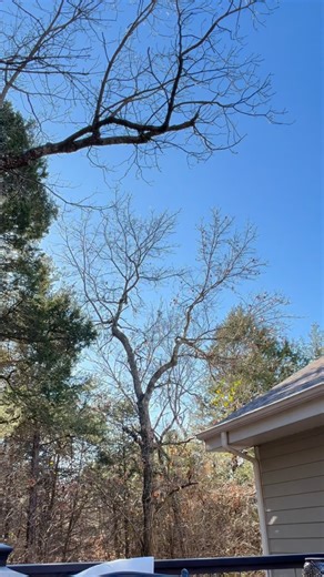 Jon Wellington on Instagram: "Need your help! Send me your ideas to thedadbodveteran@outlook.com. Find out which show will be near you, and see which cane I get! Tickets at GenXTakeover.com"