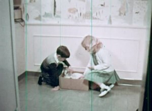 Kittens: Birth and Growth