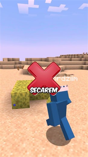 True or false in Minecraft!