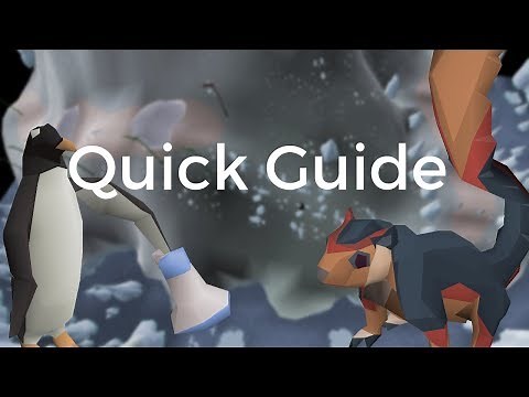 Giant Squirrel Guide - Penguin Course!