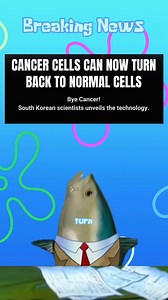 524K views · 3.7K reactions | Cancer cells can now turn back to normal cells! #talkingfishnews #news | Talkingfishnews | Facebook