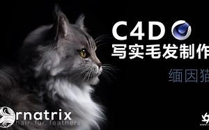 C4D毛发插件也能这么玩！Ornatrix写实毛发制作