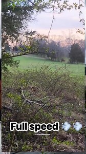 Dengan kecepatan tinggi 💨💨 #irfanseggagadventure #beaglehunting #irfanfaturohman #porbiindonesia #hunting #doghunting #beagle | Irfan Faturohman