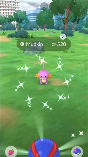 I cant stop finding shiny Mudkip!? - Pokémon GO - #shinystarter #pokemongo #shinyhunting