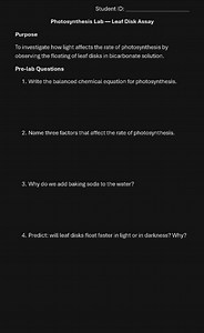 Photosynthesis Lab — Leaf Disk AssayPurposeTo investigate ho... | Filo