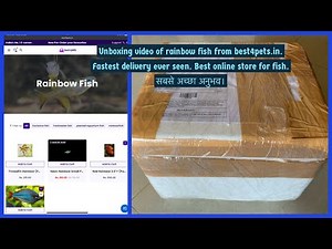#best4pets #liveAquariumfish unboxing video purchased from Best4pets.in #onlinerainbowfishindia
