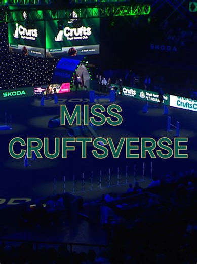 Miss Universe: A Legendary Reference in Crufts 2026