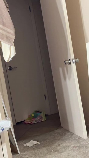 Exploring the 'Sube y Baja' Phenomenon in CapCut